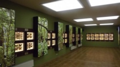 www.paneveziomuziejus.lt nuotr. www.paneveziomuziejus.lt nuotr.